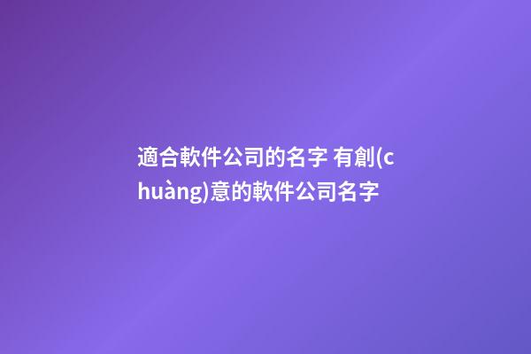 適合軟件公司的名字 有創(chuàng)意的軟件公司名字